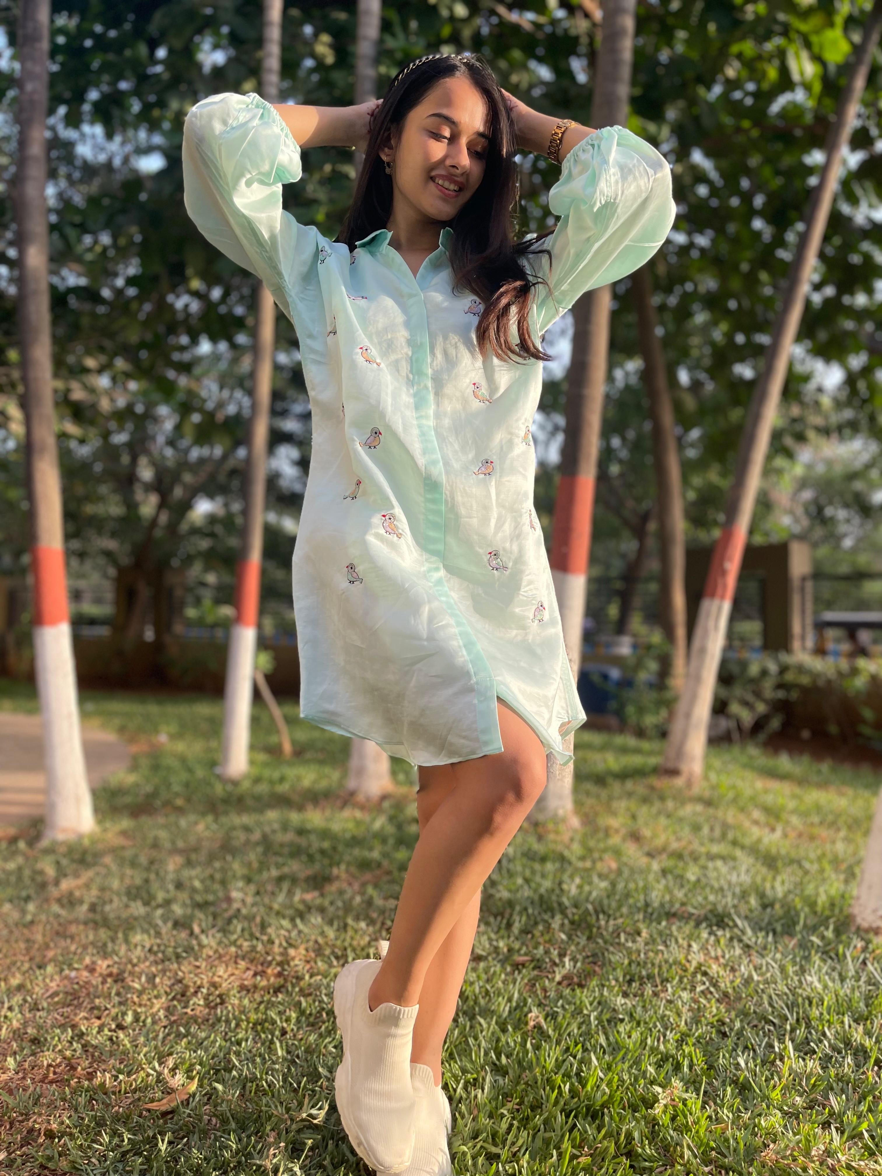 Bird Shirt Dress